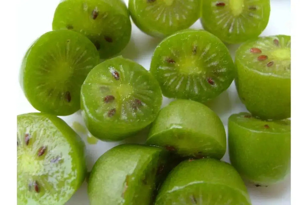 Issai Hardy Kiwi Vine (Live plants) Perennial Vine - Caribbean garden seed