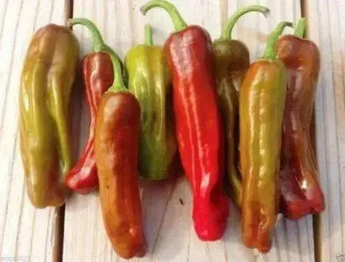 Italian Pepperoncini Pepper Seeds - Capsicum Annuum - Great Pickling Pepper ! - Caribbean garden seed