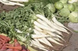 Iwai Daikon RADISH SEED, Asian Vegetable - Caribbean garden seed