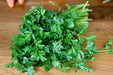 Italian Parsley , Dark Green Flat Leaf Parsley ! - Caribbean garden seed