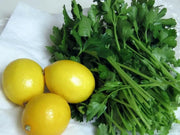 Italian Parsley , Dark Green Flat Leaf Parsley ! - Caribbean garden seed