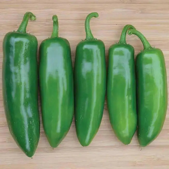 Jalapeno METEOR, Hot Pepper Seeds-Capsicum annuum - Caribbean garden seed
