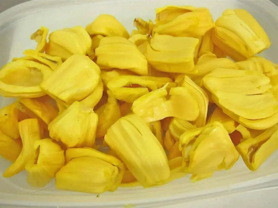 Jackfruit Tree Seed ,Jamaican Caribbean products, Asian favorite ! - Caribbean garden seed