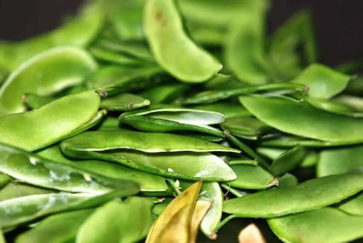 Jackson Wonder Bush Lima Beans Seeds,Heirloom Non Gmo - Caribbean garden seed