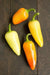 Jalapeno. YELLOW ,Pepper Seed, Capsicum annuum, MILD - Caribbean garden seed