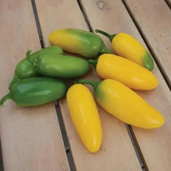 Jalapeno. YELLOW ,Pepper Seed, Capsicum annuum, MILD - Caribbean garden seed