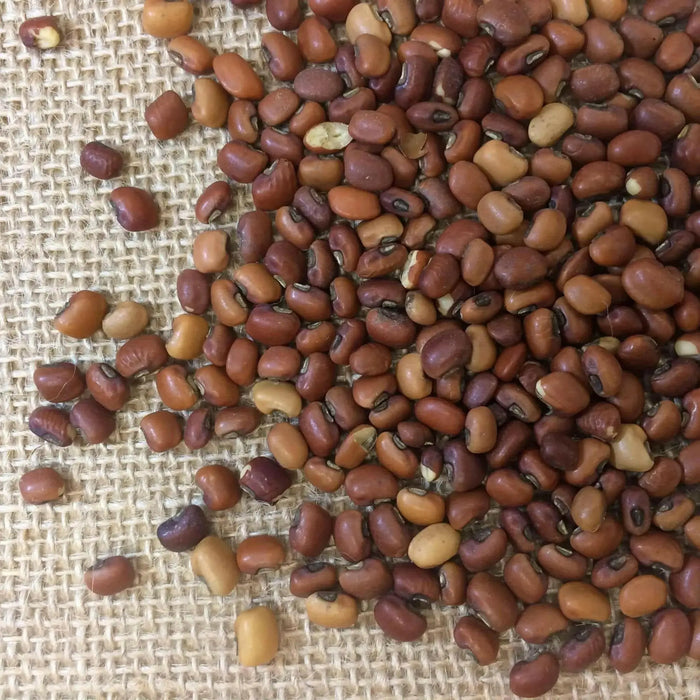 Iron and Clay Cowpea ,Southern Pea, Field Peas - Caribbean garden seed