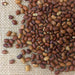 Iron and Clay Cowpea ,Southern Pea, Field Peas - Caribbean garden seed