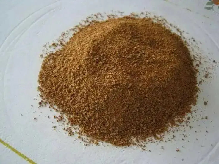 JAMAICAN BISSY (COLA NUT) Grated - Caribbean garden seed