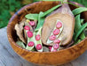 Jackson Wonder Bush Lima Beans Seeds,Heirloom Non Gmo - Caribbean garden seed