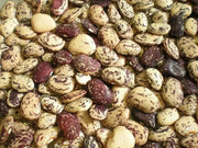 Jackson Wonder Bush Lima Beans Seeds,Heirloom Non Gmo - Caribbean garden seed