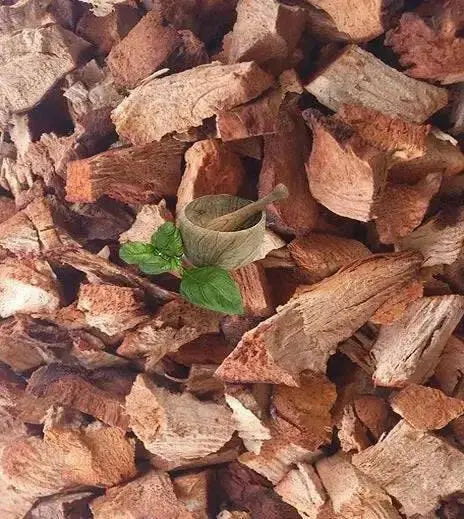 Jamaican Chaney Root - Organic Herb - Caribbean products - Caribbean garden seed