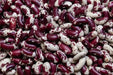Jacob's Cattle BEAN( BUSH) Dry/Shelling - Caribbean garden seed