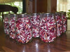 Jacob's Cattle BEAN( BUSH) Dry/Shelling - Caribbean garden seed
