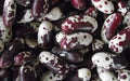 Jacob's Cattle BEAN( BUSH) Dry/Shelling - Caribbean garden seed