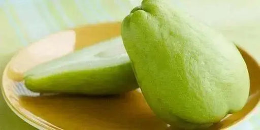 JAMAICAN cho-cho,Chayote squash, christophine - Caribbean garden seed
