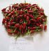 Jamaican Bird PEPPER , Live Plant, Very hot - Caribbean garden seed