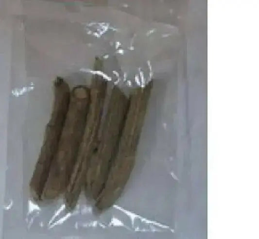 JAMAICAN CHEW STICK - Caribbean garden seed