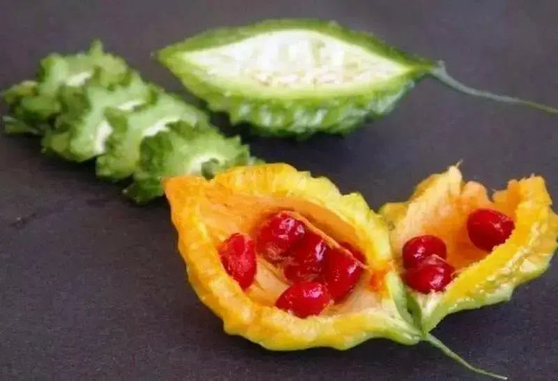 JAMAICAN CERASEE SEEDS-Bitter Melon- Asian Vegetable - Caribbean garden seed