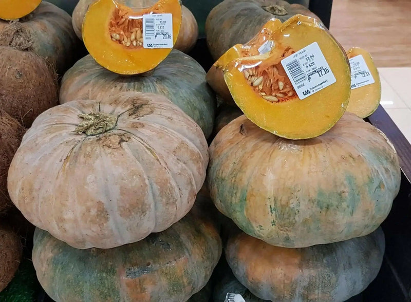 JAMAICAN FLAT PUMPKIN Seed (WINTER SQUASH) Calabaza de Castilla, - Caribbean garden seed