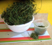 Jamaican DRY Cerasee leaves, TEA HERB, BITTER MELON - Caribbean garden seed