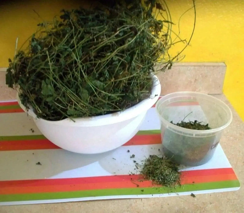 Jamaican DRY Cerasee leaves, TEA HERB, BITTER MELON - Caribbean garden seed