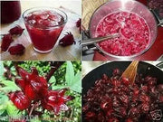 Jamaican Sorrel - Cut & Sifted, DRIED HERB - Caribbean garden seed