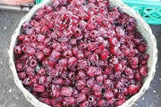 Jamaican Sorrel - Cut & Sifted, DRIED HERB - Caribbean garden seed