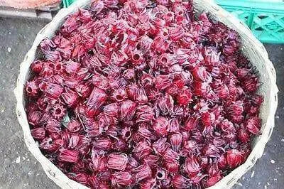 Jamaican Sorrel - Cut & Sifted, DRIED HERB - Caribbean garden seed