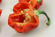 JAMAICAN RED HOT habanero, Chili Pepper,(Capsicum chinense,) - Caribbean garden seed