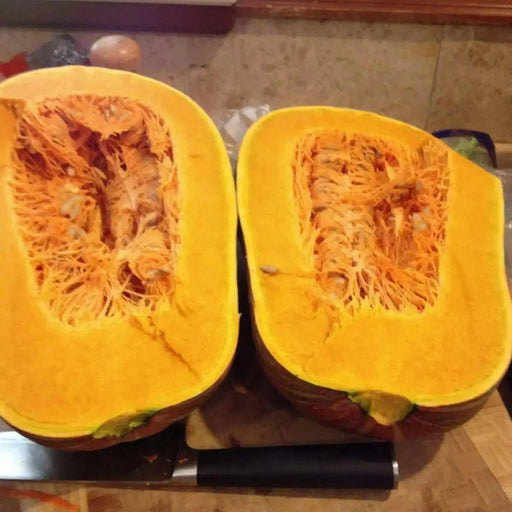 Jamaican Pumpkin SEEDS, WINTER SQUASH - Caribbean garden seed