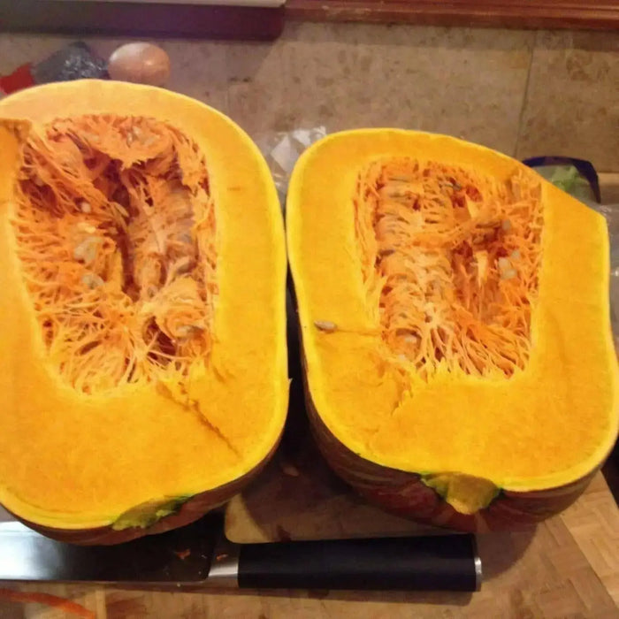 Jamaican Pumpkin SEEDS, WINTER SQUASH - Caribbean garden seed