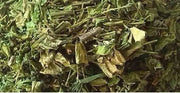 Jamaican GUINEA HEN WEED ,Dried Herbs - Caribbean garden seed