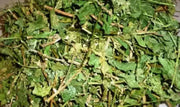 Jamaican GUINEA HEN WEED ,Dried Herbs - Caribbean garden seed