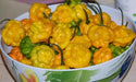 Jamaican Scotch Bonnet PEPPER (Capsicum chinense)  Pepper seeds - Caribbean garden seed