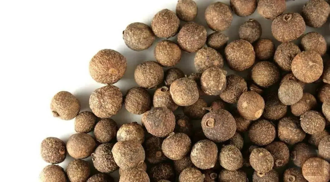 Jamaican Allspice, pimenta,( whole) MUST HAVE SPICE - Caribbean garden seed