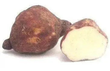 JAMAICAN sweet potatoes, CARIBBEAN produce,Fresh batata - Caribbean garden seed