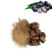 Jamun Seeds Powder - Jaamun Guthli Powder - Syzygium Cumini - Black Plum - Caribbean garden seed