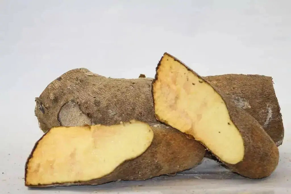 Jamaican Yellow Yam ,CARIBBEAN FRESH produce - Caribbean garden seed