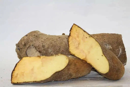 Jamaican Yellow Yam ,CARIBBEAN FRESH produce - Caribbean garden seed