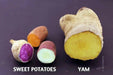 Jamaican Yellow Yam ,CARIBBEAN FRESH produce - Caribbean garden seed