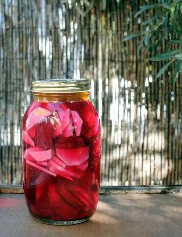 Japanese Red Turnip, "Hidabeni" Asian Vegetable - Caribbean garden seed