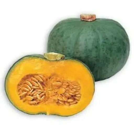 Japanese Pumpkin Seeds " Blue Kuri"(Cucurbita moschata) Winter Squash, Asian Vegetable - Caribbean garden seed