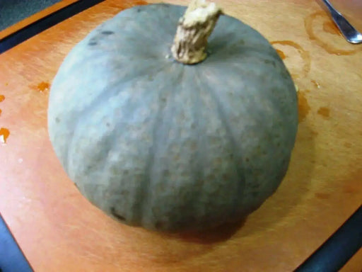 Japanese Pumpkin Seeds " Blue Kuri"(Cucurbita moschata) Winter Squash, Asian Vegetable - Caribbean garden seed