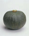 Japanese Pumpkin Seeds " Blue Kuri"(Cucurbita moschata) Winter Squash, Asian Vegetable - Caribbean garden seed