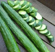 Japanese Long Cucumber SEEDS "Sooyow Nishiki" Asian Vegetable - Caribbean garden seed