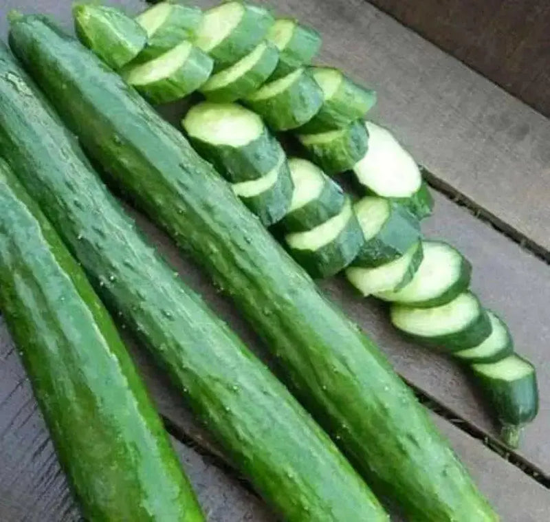 Japanese Long Cucumber SEEDS "Sooyow Nishiki" Asian Vegetable - Caribbean garden seed