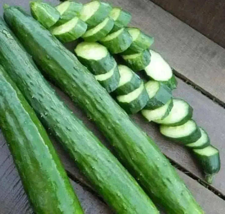 Japanese Long Cucumber SEEDS "Sooyow Nishiki" Asian Vegetable - Caribbean garden seed