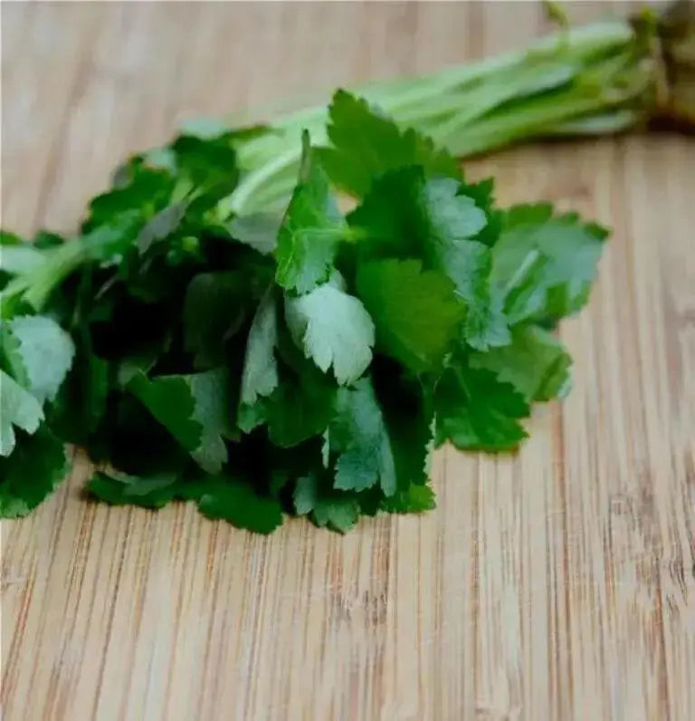 Japanese Parsley Seeds , Mitsuba - Asian Vegetable - Caribbean garden seed