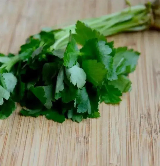 Japanese Parsley Seeds , Mitsuba - Asian Vegetable - Caribbean garden seed